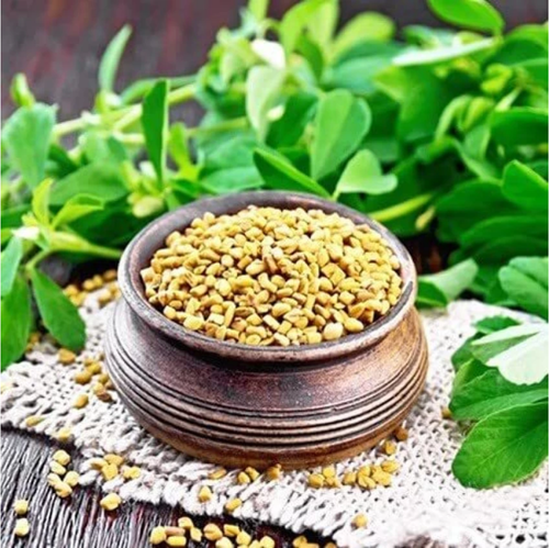 FENUGREEK SEED